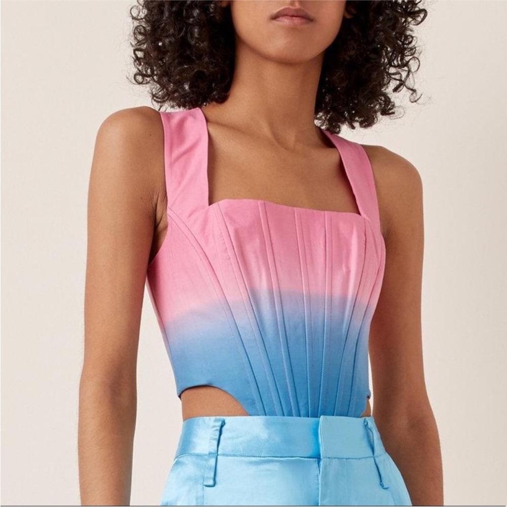 STAUD Alice Pink and Blue Ombré Cut-Out Bustier Top